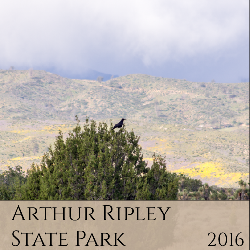 Arthur Ripley State Park